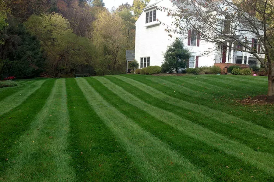 Home with nice front lawn