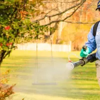 Tech spraying for mosquitoes