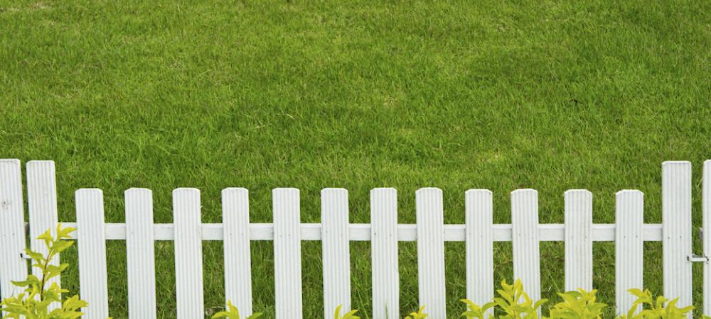 fertilized lawn