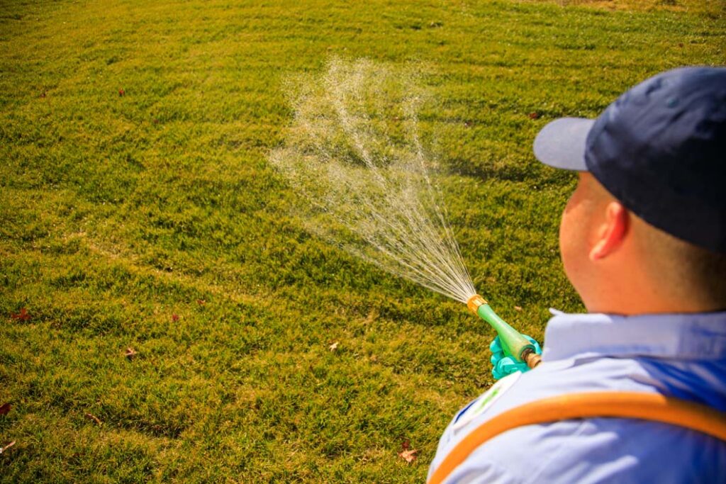 How to Prep Your Lawn for Professional Service