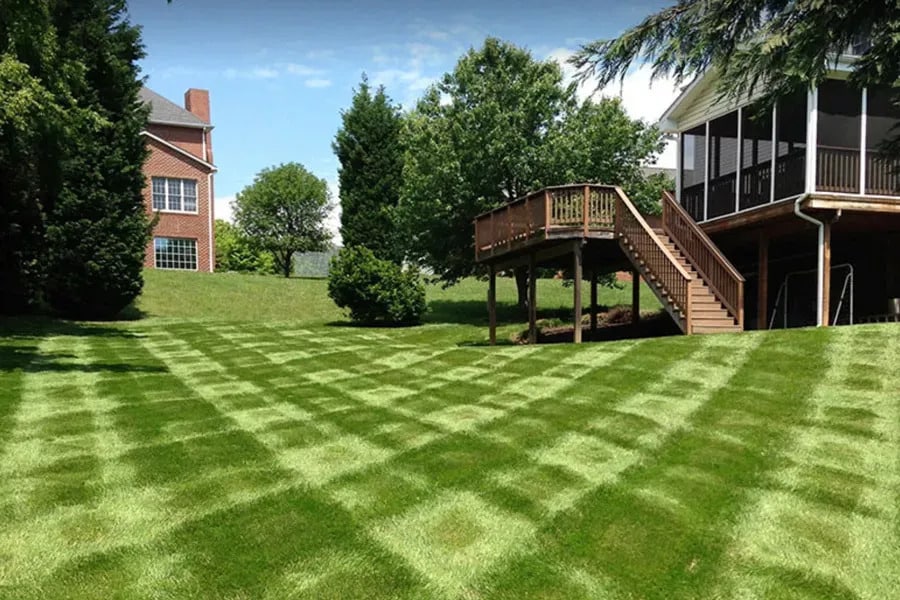 How Shade Affects Grass Growth in Roanoke, Charlotte & Greensboro Lawns