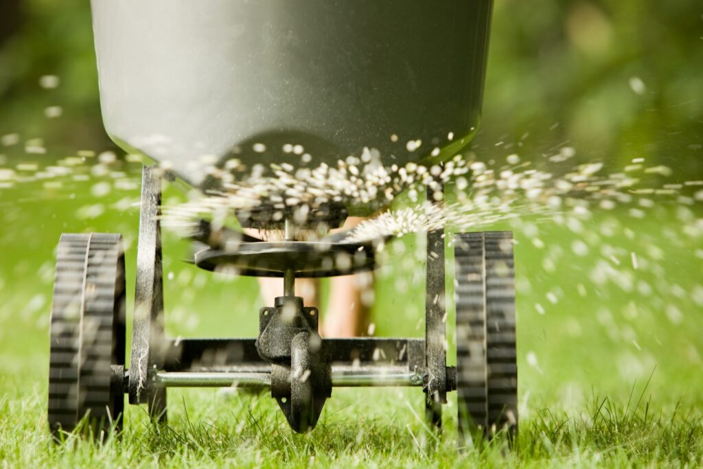 How Fertilization Boosts Lawn Health Year-Round