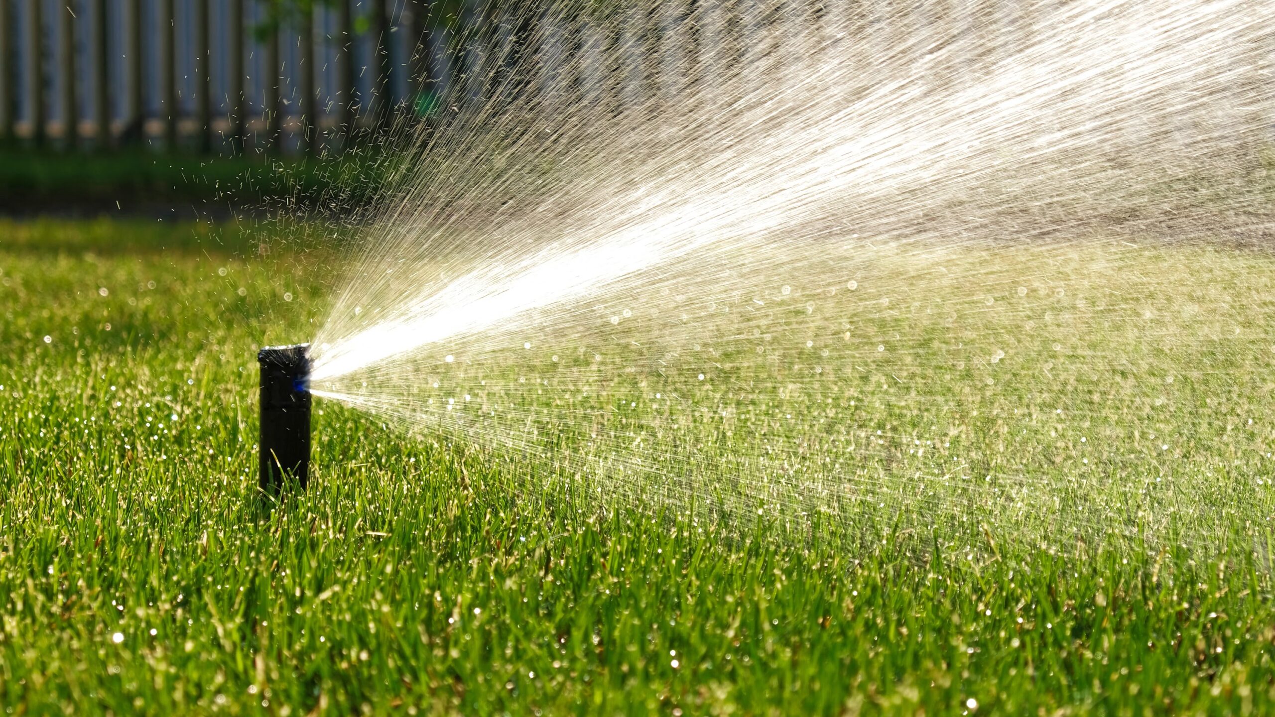 How Often Should You Water Your Lawn in the Carolinas and Virginia