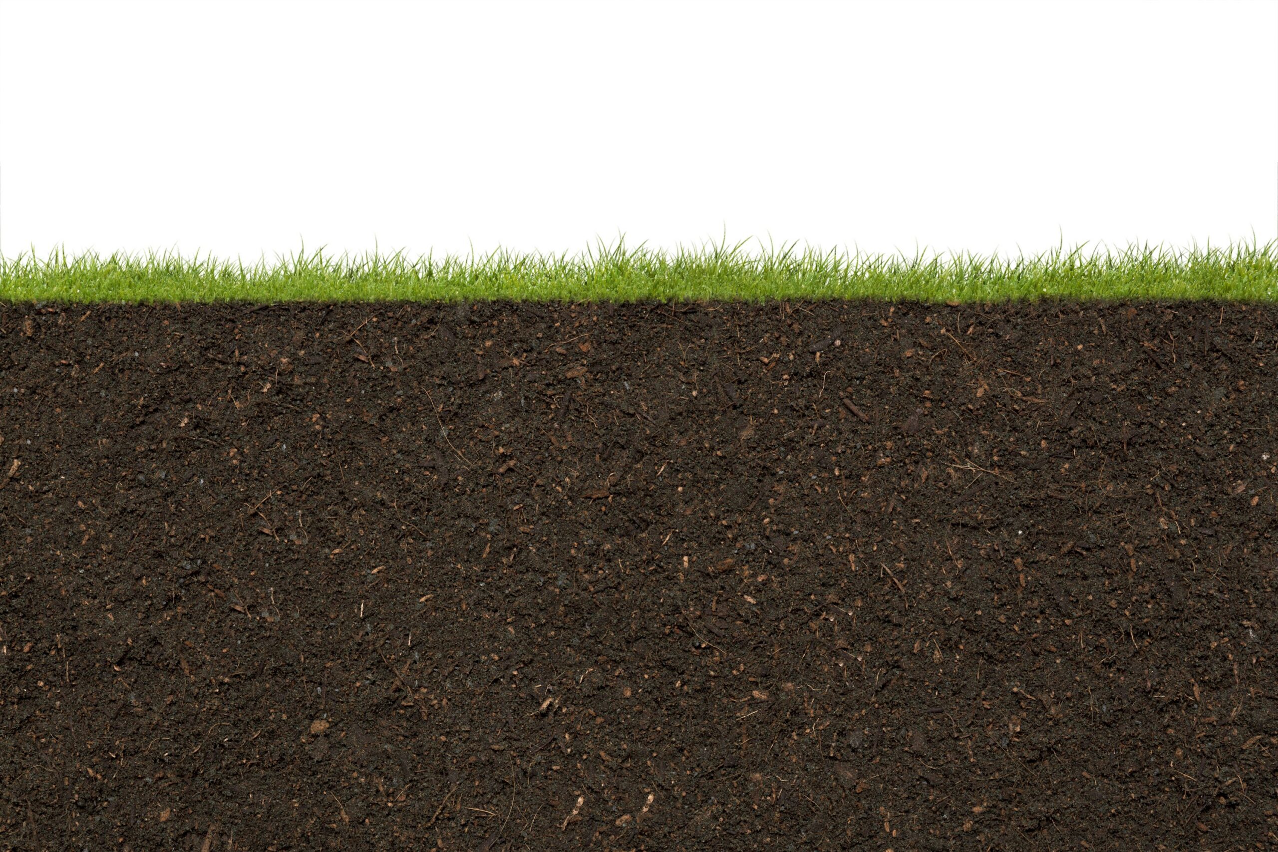 What Happens to Your Lawn in Winter & Why It Matters for Spring